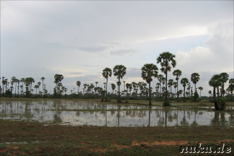 Landschaft, Kambodscha