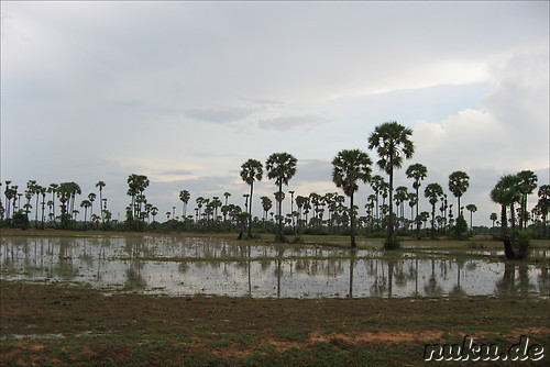 Landschaft, Kambodscha