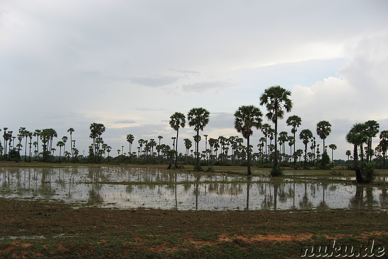 Landschaft, Kambodscha