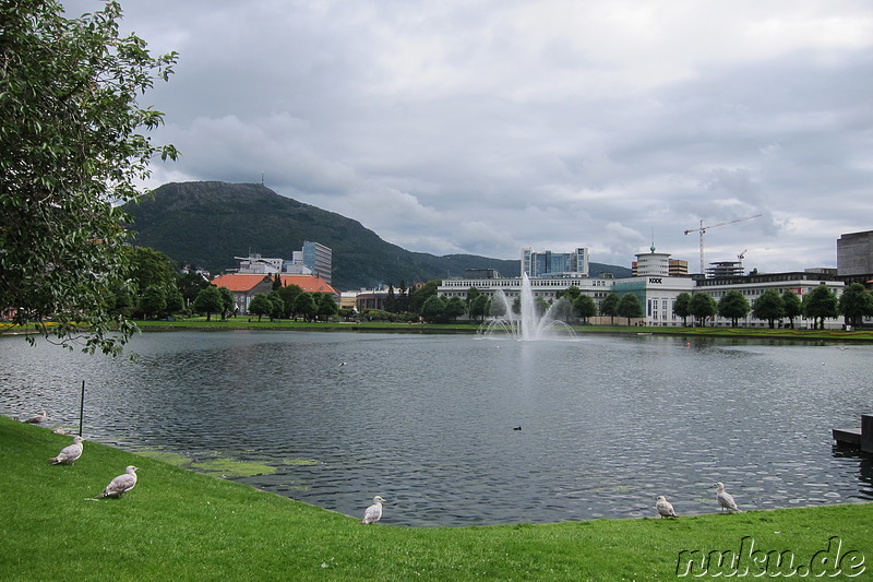 Lille Lungegardsvann - Parkanlage in Bergen, Norwegen