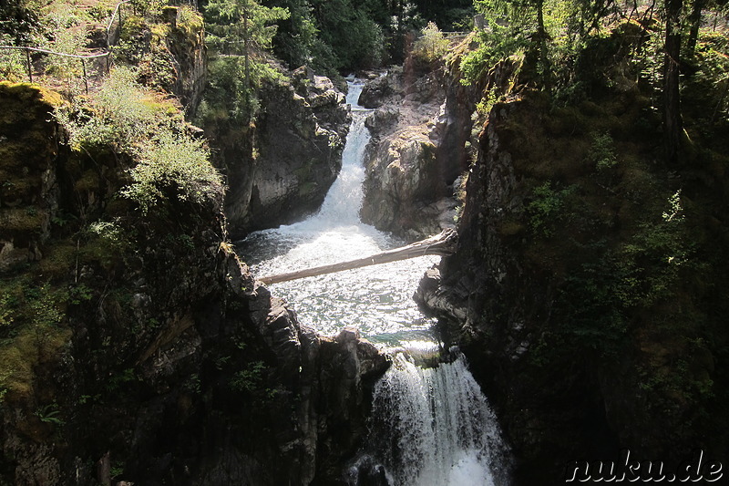 Little Qualicum Falls auf Vancouver Island, Kanada