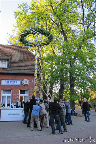 Maibaumaufstellen in Wulfsen