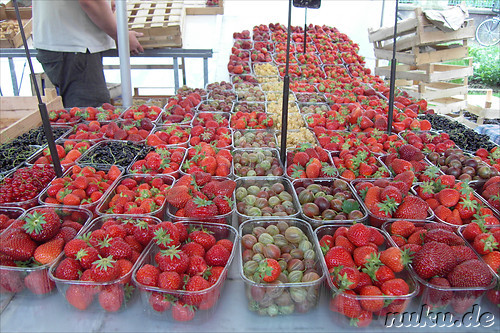 Markt in Grand Ile, Strasbourg, Frankreich