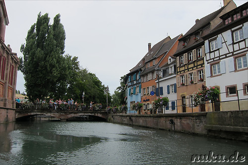 Mit dem Ruderboot durch Petite Venice in Colmar