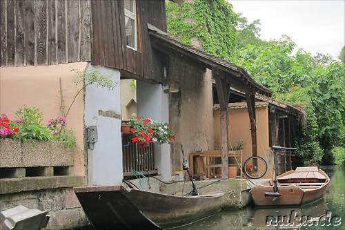 Mit dem Ruderboot durch Petite Venice in Colmar