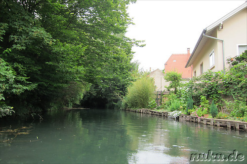 Mit dem Ruderboot durch Petite Venice in Colmar