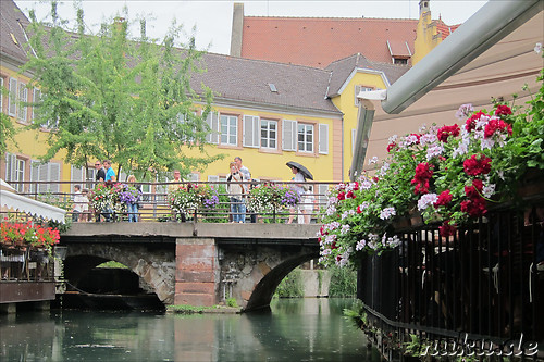 Mit dem Ruderboot durch Petite Venice in Colmar