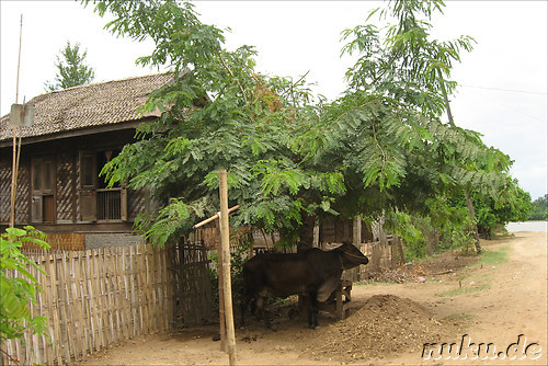 Mit der Pferdekutsche auf Erkundungstour in Inwa, Burma