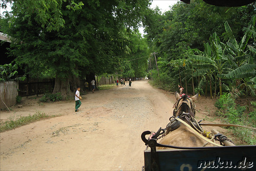 Mit der Pferdekutsche auf Erkundungstour in Inwa, Burma