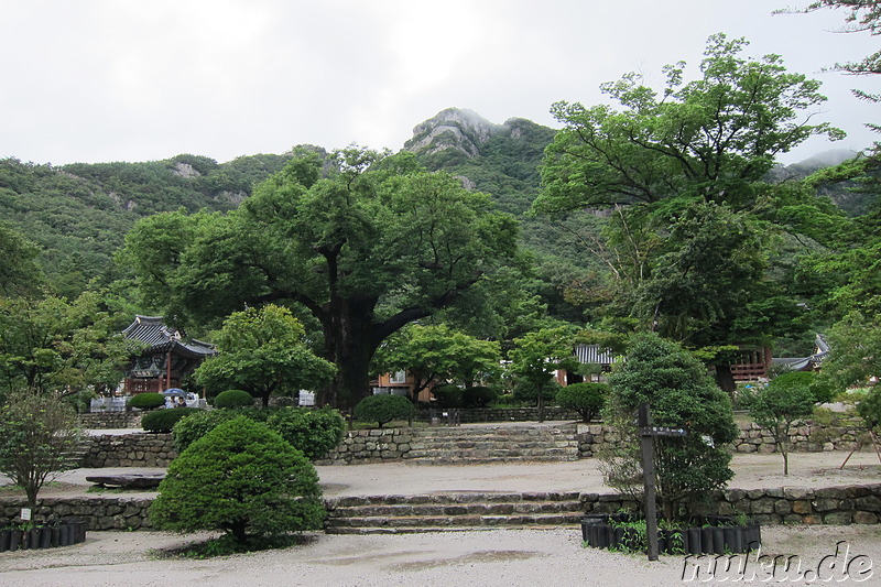 Naesosa Tempel im Byeonsanbando National Park, Jeollabuk-Do, Korea
