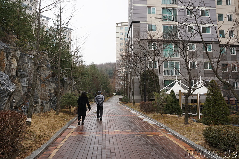 Neues Apartment von Seyeongs Eltern in Seoul, Korea