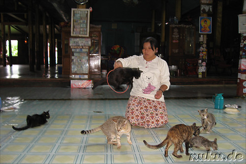 Nga Hpe Kyaung - Jumping Cat Monastery