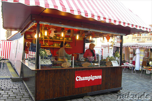 Nuernberger Altstadtfest 2010 in Nuernberg, Franken