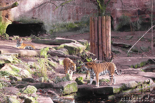 Nuernberger Tiergarten in Nuernberg, Franken