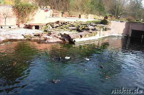 Nuernberger Tiergarten in Nuernberg, Franken