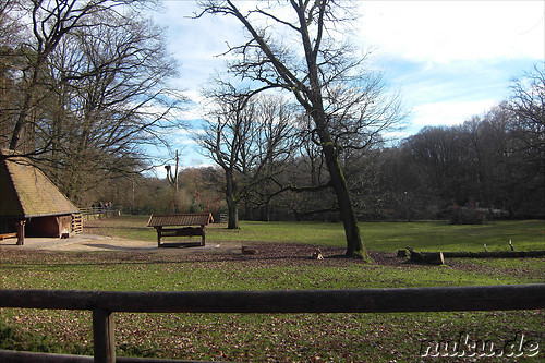 Nuernberger Tiergarten in Nuernberg, Franken