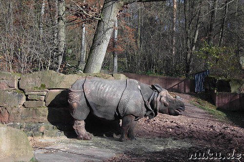 Nuernberger Tiergarten in Nuernberg, Franken