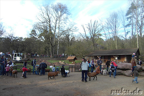 Nuernberger Tiergarten in Nuernberg, Franken