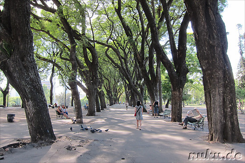 Parque Lezama in San Telmo, Buenos Aires, Argentinien