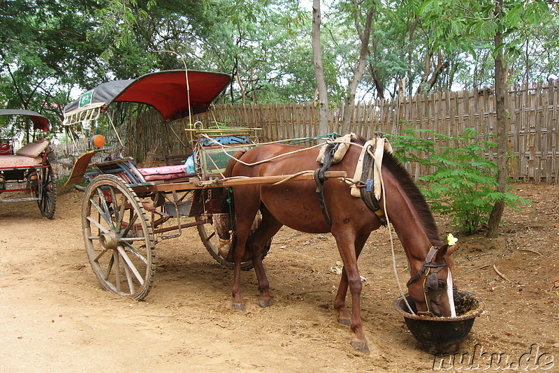 Pferdekutsche in Bagan, Myanmar