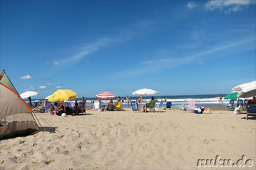 Playa Brava - Bester Strand in Punta del Este, Uruguay