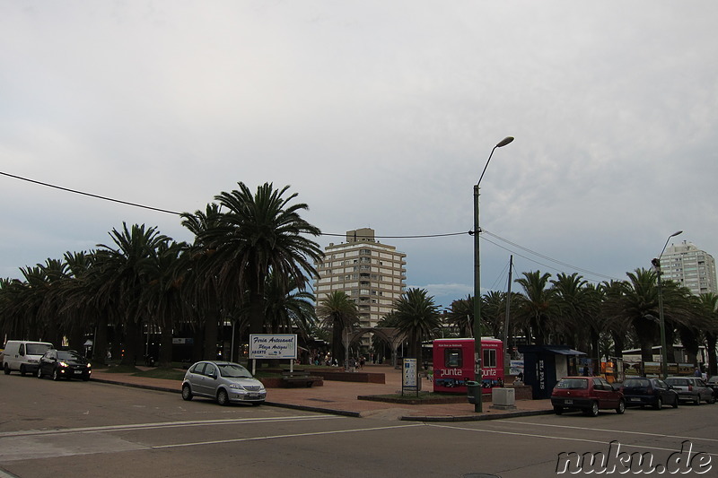 Plaza Artigas in Punta del Este, Uruguay