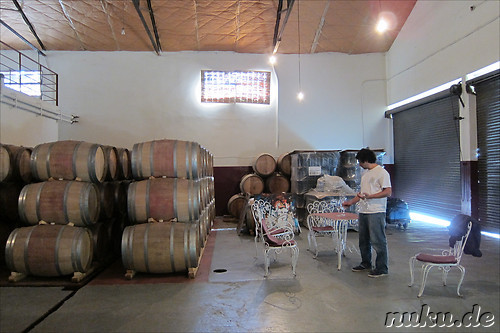 Pulmary in Chacras de Coria, Argentinien