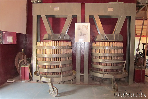 Pulmary in Chacras de Coria, Argentinien