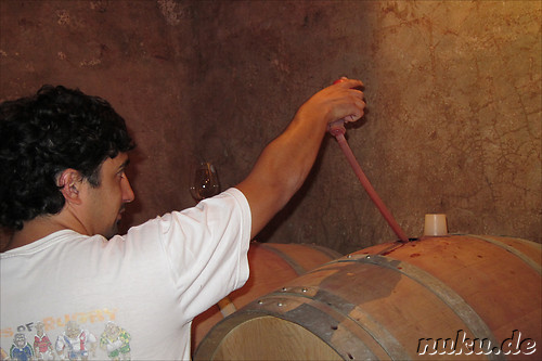Pulmary in Chacras de Coria, Argentinien