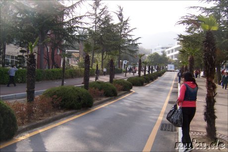 Pusan National University