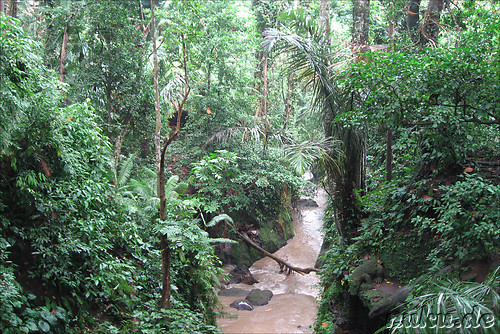 Sacred Monkey Forest Sanctuary, Ubud, Bali, Indonesien