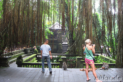 Sacred Monkey Forest Sanctuary, Ubud, Bali, Indonesien