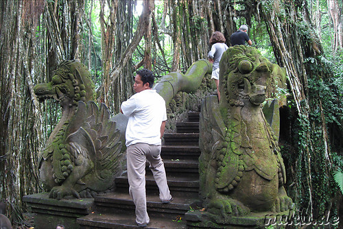 Sacred Monkey Forest Sanctuary, Ubud, Bali, Indonesien