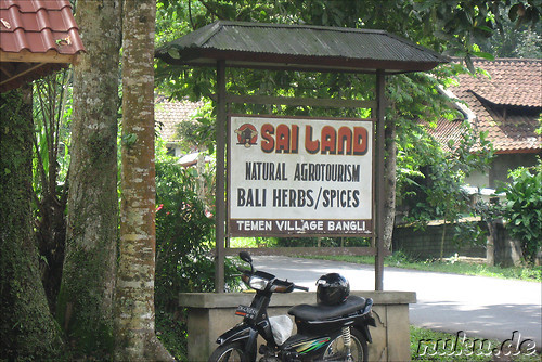 Sai Land Coffee & Cacao Plantation in Bangli, Bali, Indonesien