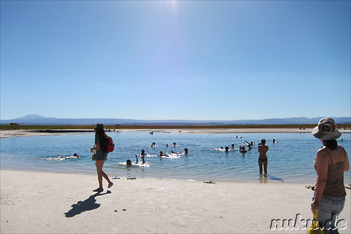 Salt Laguna Cejar in der Atacamawueste, Chile