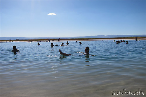 Salt Laguna Cejar in der Atacamawueste, Chile