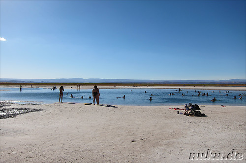 Salt Laguna Cejar in der Atacamawueste, Chile
