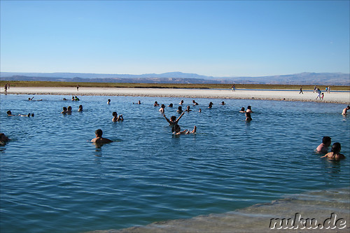 Salt Laguna Cejar in der Atacamawueste, Chile