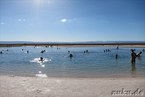 Salt Laguna Cejar in der Atacamawueste, Chile