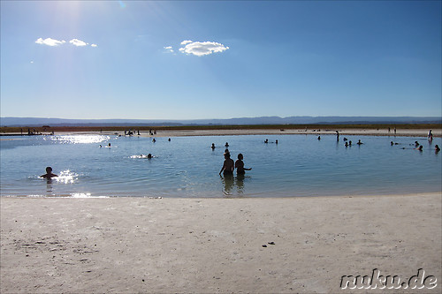 Salt Laguna Cejar in der Atacamawueste, Chile