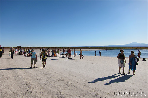 Salt Laguna Cejar in der Atacamawueste, Chile