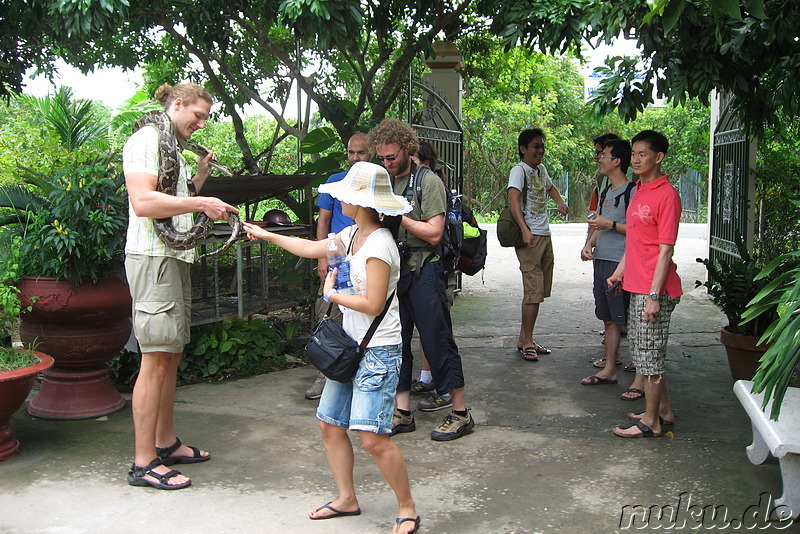Schlange für die Touristen