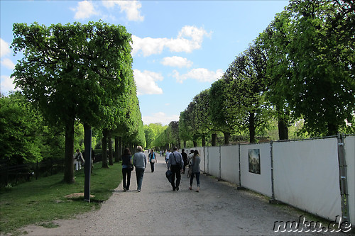 Schlosspark Bruehl