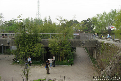 Seonyudo