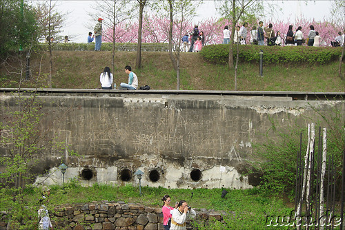 Seonyudo
