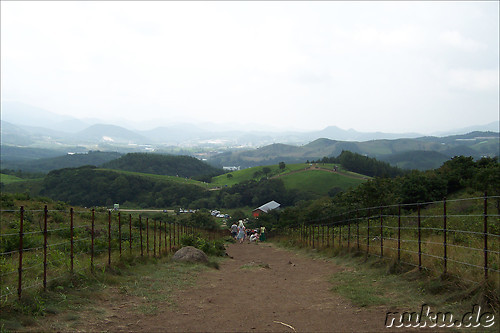 Sheep Farm, Hoenggye