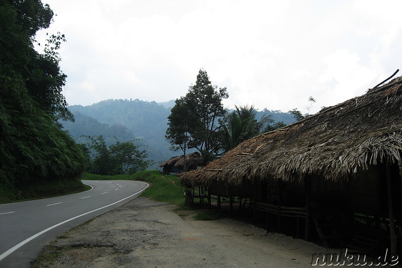 Siedlung der Orang Asli am Strassenrand
