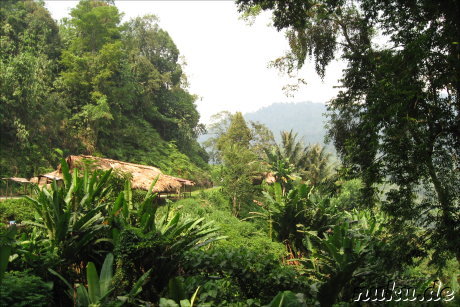 Siedlung der Orang Asli am Strassenrand