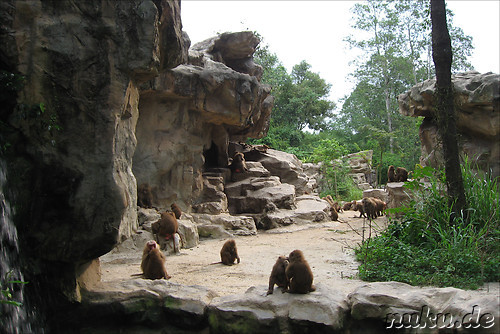 Singapore Zoo, Singapur