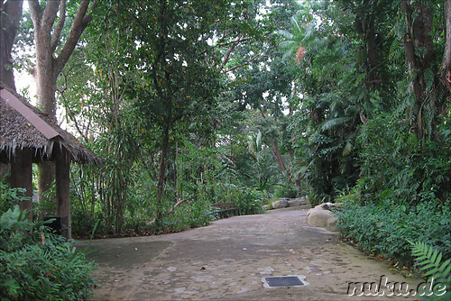 Singapore Zoo, Singapur